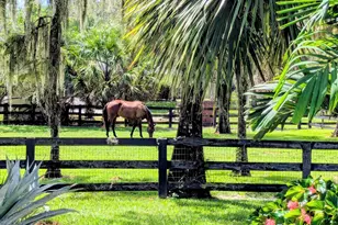2317 Fawn Dr, The Acreage, FL 33470 - Photo 55