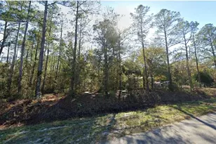 4535 Cedar Ford Blvd, Hastings, FL 32145 - Photo 1