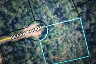 000 Beech Ct, Alford, FL 32420 - Photo 1