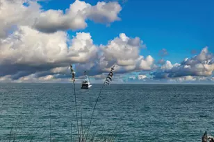 4200 N Surf Rd, Hollywood, FL 33019 - Photo 27