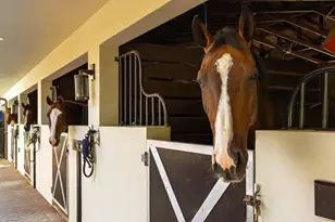 5420 Las Palmas Ave Unit #(Stalls), Wellington, FL 33449 - Photo 43