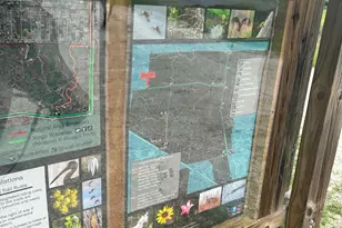 12167 142nd Ct N, Palm Beach Gardens, FL 33418 - Photo 21