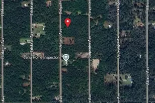 10040 Delgado Ave, Hastings, FL 32145 - Photo 1