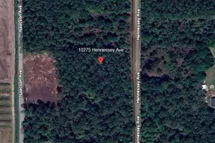 10275 Hennessey Ave, Hastings, FL 32145 - Photo 1