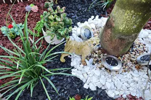 600 Executive Center Dr, West Palm Beach, FL 33401 - Photo 13