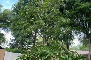 11487 Blue Violet Ln, Royal Palm Beach, FL 33411 - Photo 19