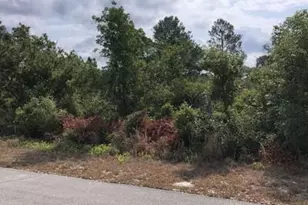 1731 Charleston St, Lake Placid, FL 33852 - Photo 1