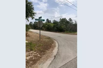 1731 Charleston Street, Lake Placid, FL 33852 - Photo 5