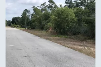 1731 Charleston Street, Lake Placid, FL 33852 - Photo 7