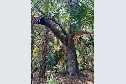 1701 Cabbage Wood Road, Okeechobee, FL 34974 - Photo 7