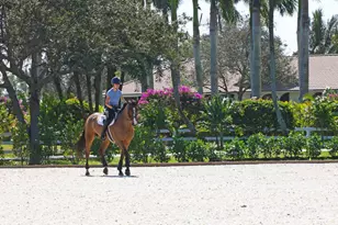 15293 Sunnyland Ln, Wellington, FL 33414 - Photo 109