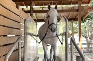 1711 Stallion Dr, Loxahatchee, FL 33470 - Photo 15