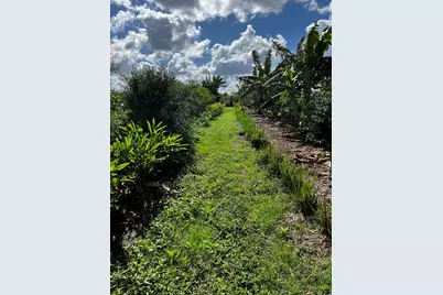 20915 Antoinette Street, Loxahatchee, FL 33470 - Photo 19