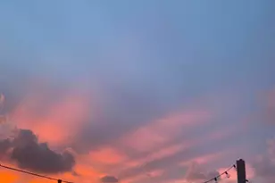 2362 Byron St, Palm Springs, FL 33406 - Photo 39