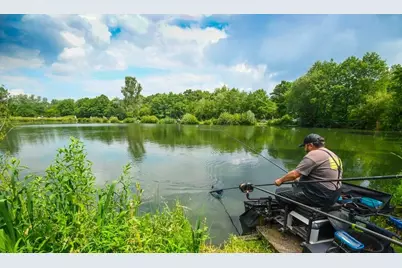 206 Royal Avenue, Interlachen, FL 32148 - Photo 5