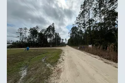 215 Royal Avenue, Interlachen, FL 32148 - Photo 3