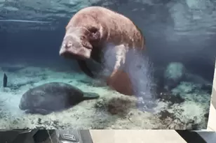 5200 N Flagler Dr SE Unit, West Palm Beach, FL 33407 - Photo 23