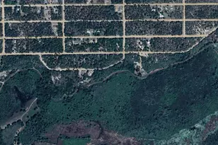 113 Hickory Cir, Interlachen, FL 32148 - Photo 1