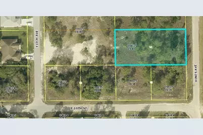 1003 Hines Avenue, Alva, FL 33920 - Photo 3