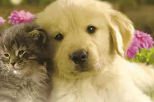 10110 44th Way S Unit, Boynton Beach, FL 33436 - Photo 35