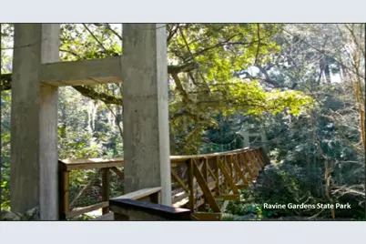 116 Tulip Avenue, Interlachen, FL 32148 - Photo 7