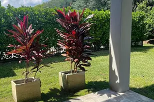 17534 Rainstream Rd, Boca Raton, FL 33496 - Photo 11