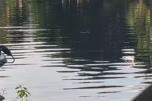 2464 Waterside Dr, Lake Worth, FL 33461 - Photo 35