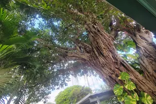 4882 S Katrina Cir, West Palm Beach, FL 33415 - Photo 25