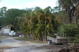 14550 99th St, Fellsmere, FL 32948 - Photo 23