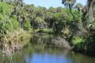 2350 Fallon Blvd NE, Palm Bay, FL 32907 - Photo 67