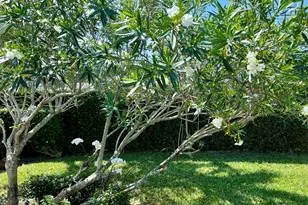 8323 Old Forest Rd, Palm Beach Gardens, FL 33410 - Photo 43