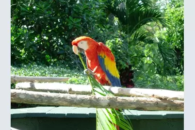 3400 N Ocean Drive, Unit #1706, Singer Island, FL 33404 - Photo 85