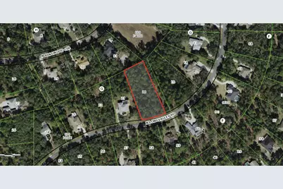 3922 N Longvalley Road, Hernando, FL 34442 - Photo 1