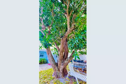 347 Flagler Boulevard, West Palm Beach, FL 33403 - Photo 25