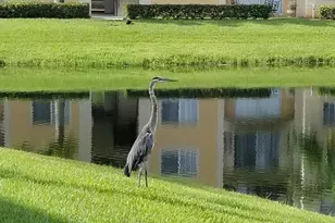 1100 Crestwood Ct S, Royal Palm Beach, FL 33411 - Photo 37