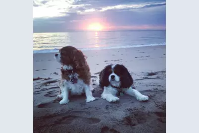 3421 S Ocean Boulevard #1, Highland Beach, FL 33487 - Photo 39