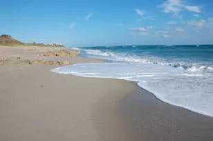 12423 Banyan Rd, North Palm Beach, FL 33408 - Photo 15