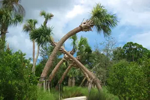 23005 SW Accesi Way, Port Saint Lucie, FL 34986 - Photo 79