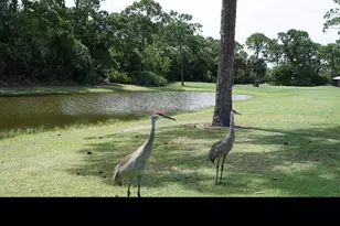 12 Orinco Rd, Port Saint Lucie, FL 34952 - Photo 45