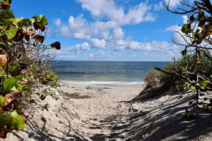 103 W Sandpiper Cir, Jupiter, FL 33477 - Photo 51