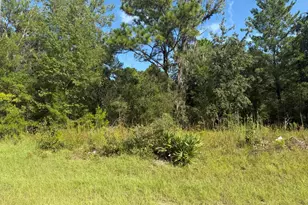 Tbd 79th Terrace Rd, Dunnellon, FL 34432 - Photo 1