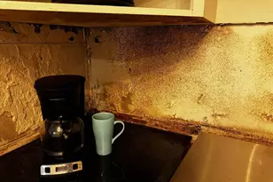 1280 NW 43rd Terrace Unit, Lauderhill, FL 33313 - Photo 23