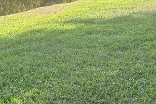 1848 Via Castello, Wellington, FL 33411 - Photo 71