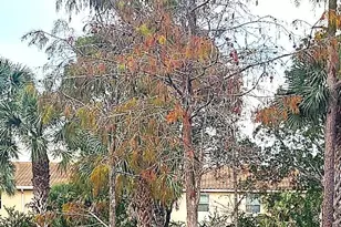 4167 N Haverhill Rd, West Palm Beach, FL 33417 - Photo 27