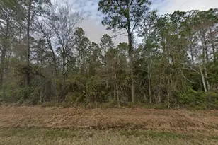 4300 Nancy St, Hastings, FL 32145 - Photo 1