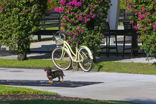14334 Wellington Trace, Wellington, FL 33414 - Photo 37