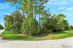 15517 73rd St N, The Acreage, FL 33470 - Photo 47