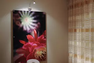 19550 Sawgrass Dr, Boca Raton, FL 33434 - Photo 57