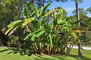 11891 157th Pl N, Jupiter, FL 33478 - Photo 51