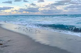 1260 SW 8th St, Boca Raton, FL 33486 - Photo 11